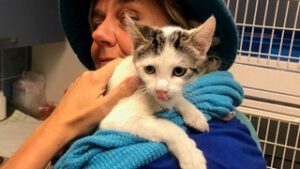 Healing voor Mens en Dier